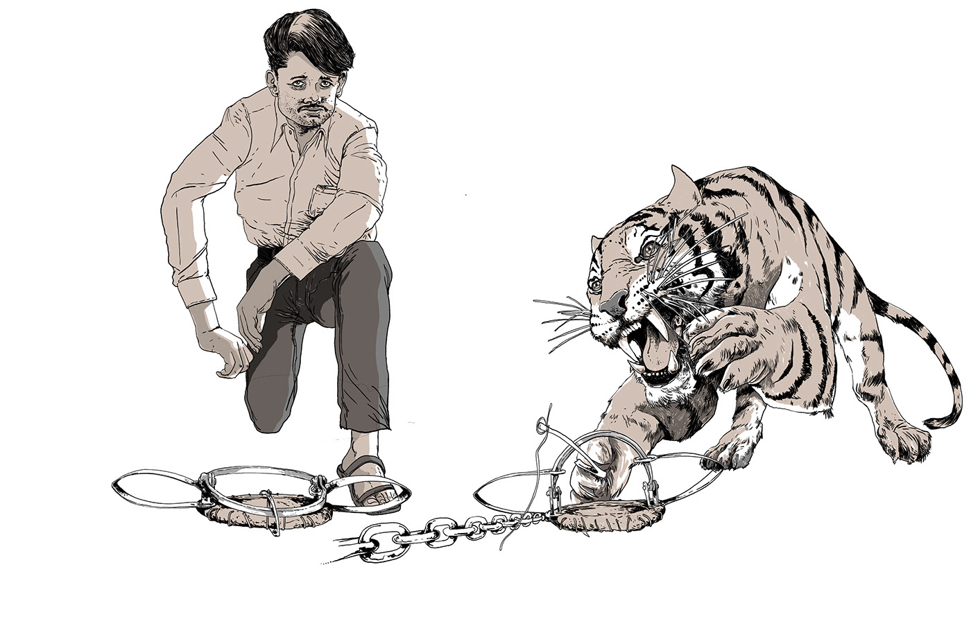 #infographic #Infografía #interactive   #bengaltiger #Poaching #India #WPSI #graphicDesign