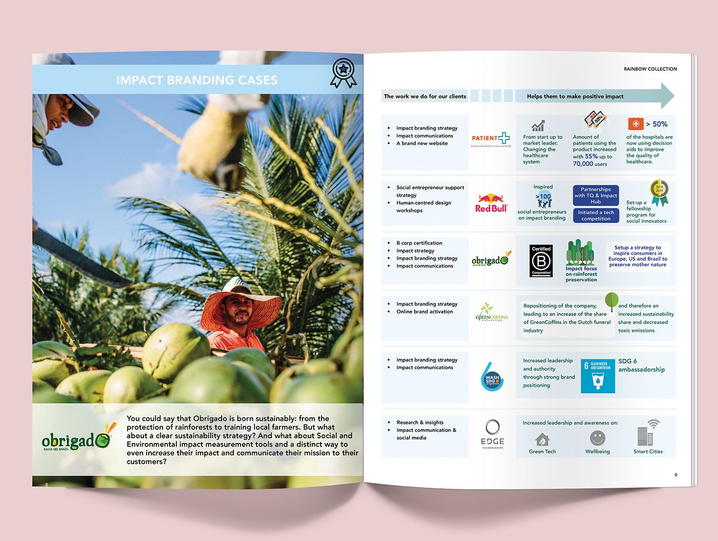 impact report magazine InDesign design rainbowcollection Sustainability agency
