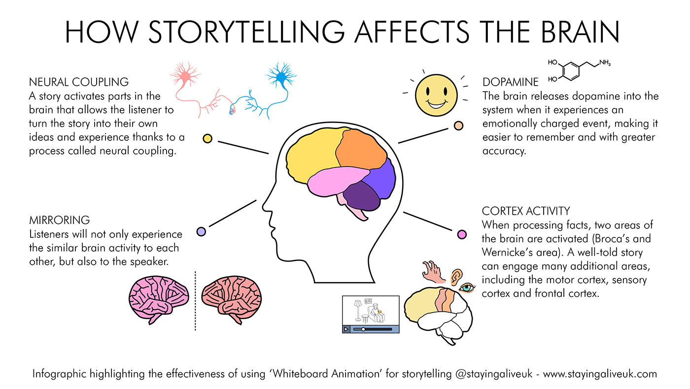 infographic design trust storytelling   brain
