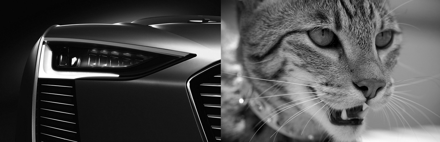 car cats Ashera brand logo automotive   school drive C olour emblem badge Style co Opperation team