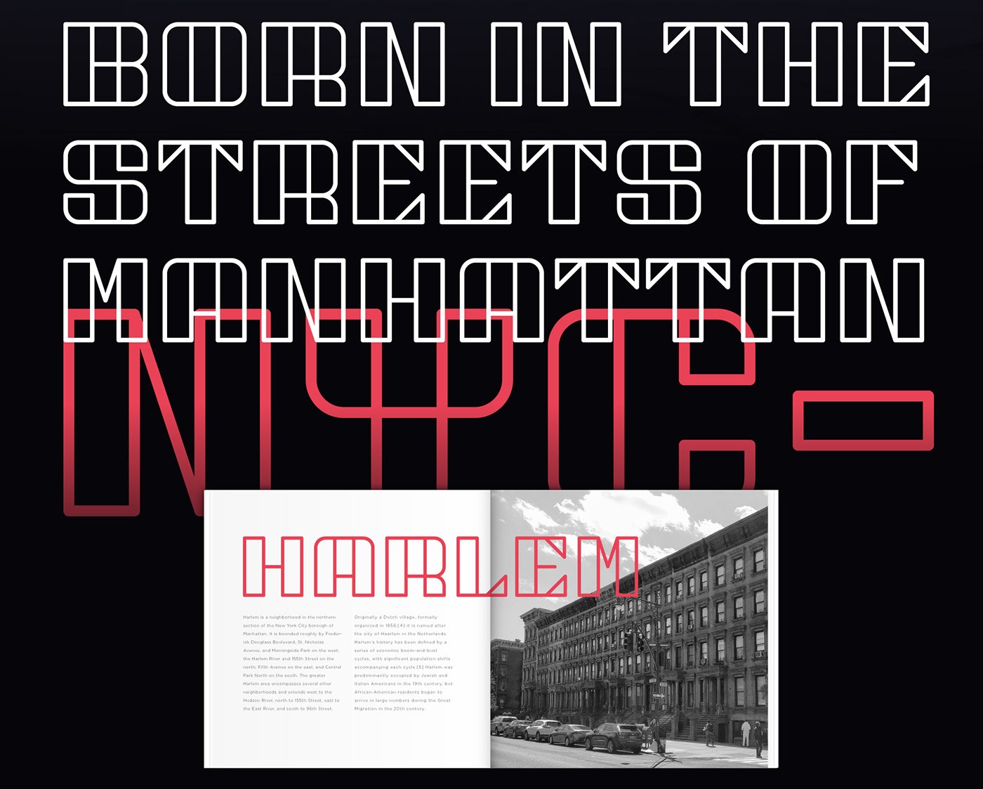 typography   font free New York Typeface editorial poster Display Cyrillic Street