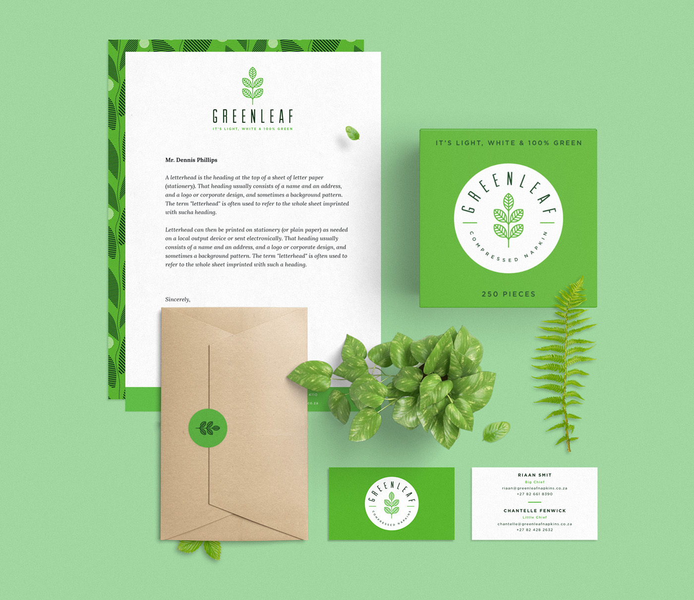 Packaging branding  graphic design  leaf logo Icon pantone illustrated packaging product identity Corporate Identity