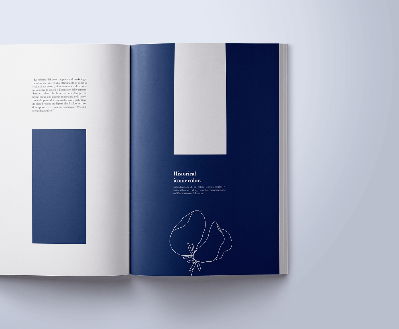 blue book design illustrations