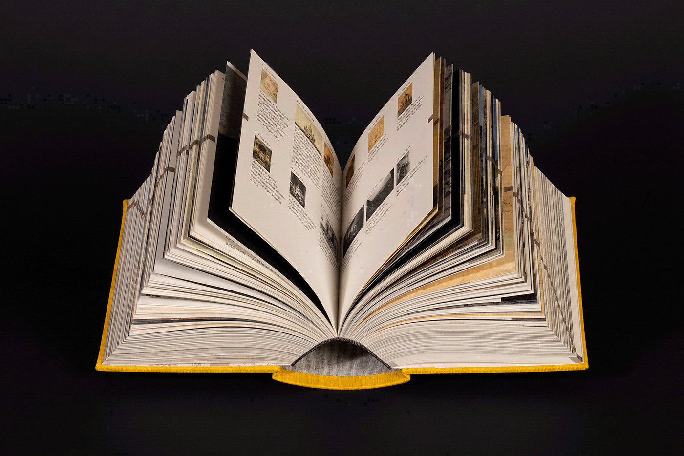 book book cover book design editorial editorial design  Guide Photography  typography   history map