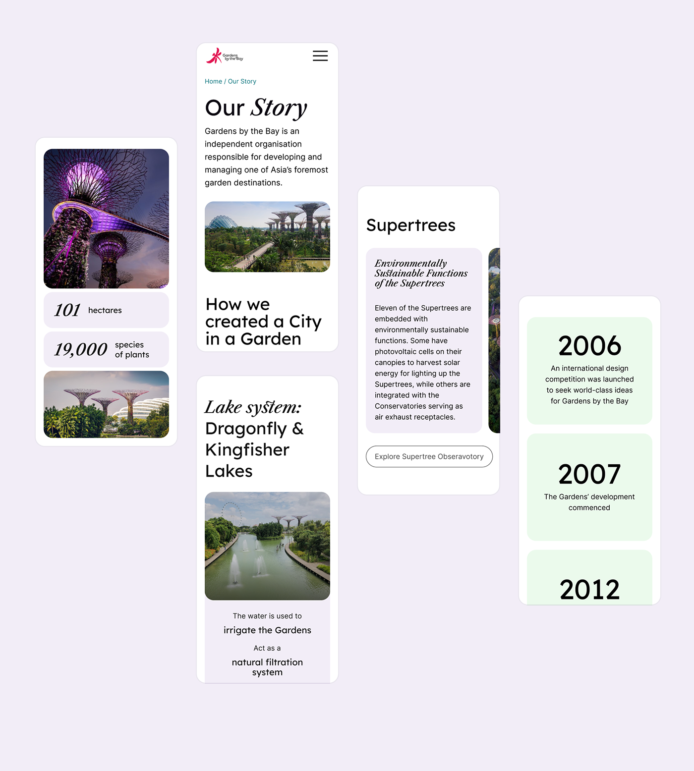 Web Design  redesign website