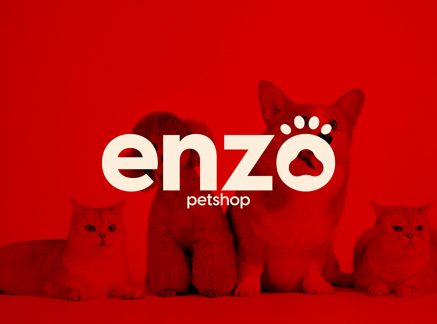 design brand identity Logo Design Graphic Designer Social media post Advertising  Adobe Photoshop photoshop enzo Cat