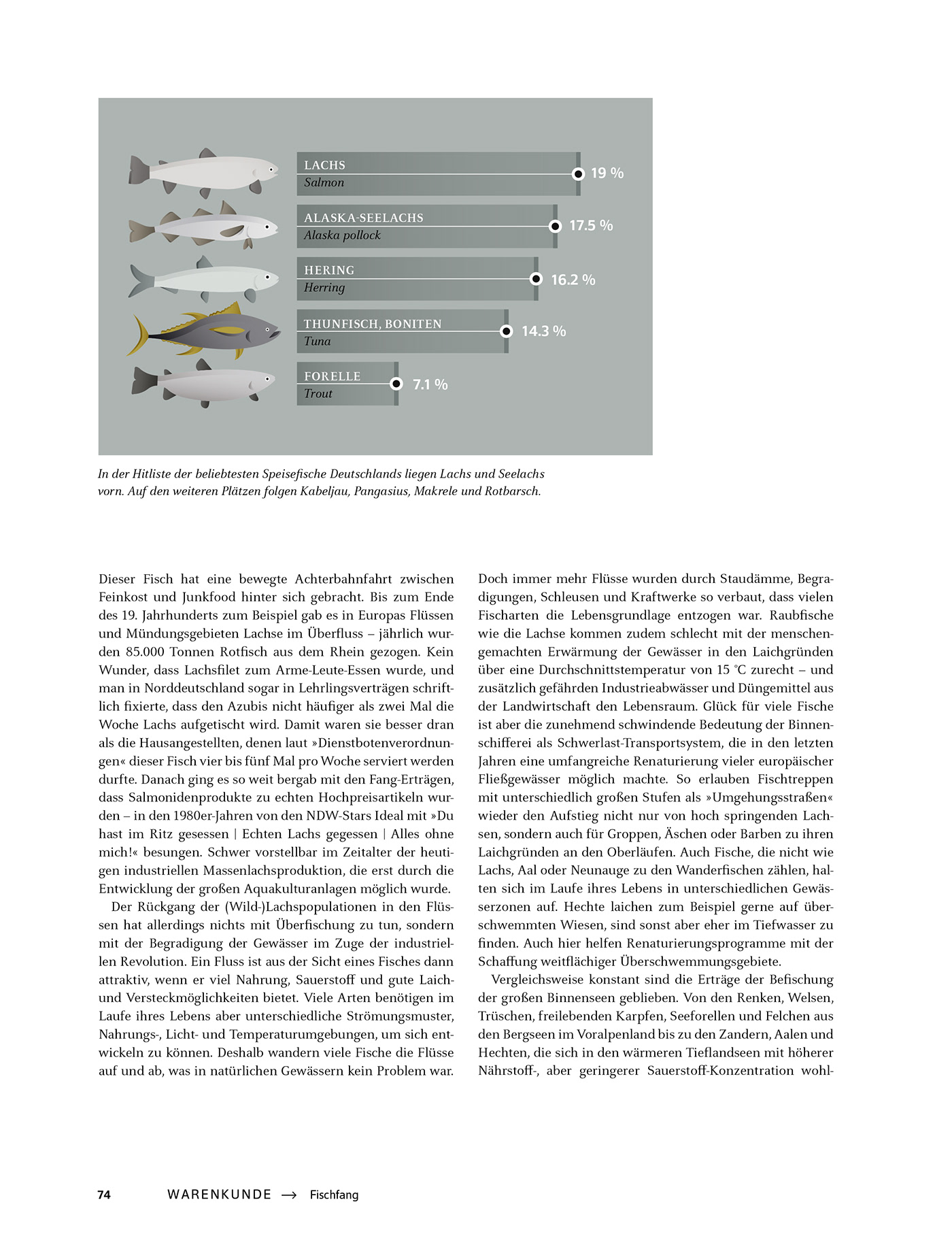 Data data visualization infographic ILLUSTRATION  design art graph graphic book fish
