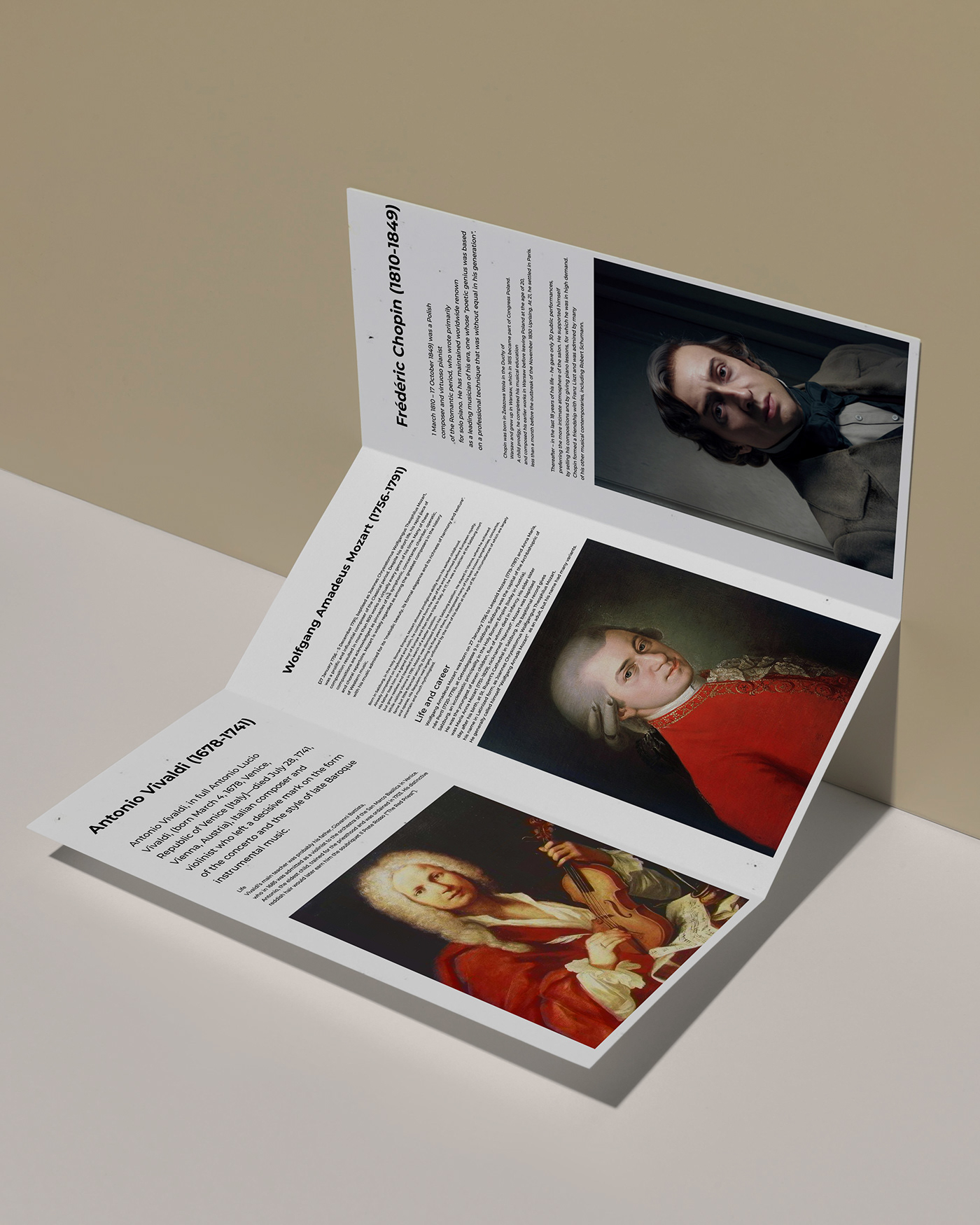 Advertising  banner brochure brochure design design flyer tri-fold trifold Trifold Brochure Design print