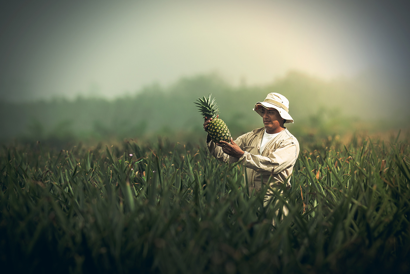 agroindustria portrait retrato Ecuador retouch farmers Advertising  Film   cinematic Landscape