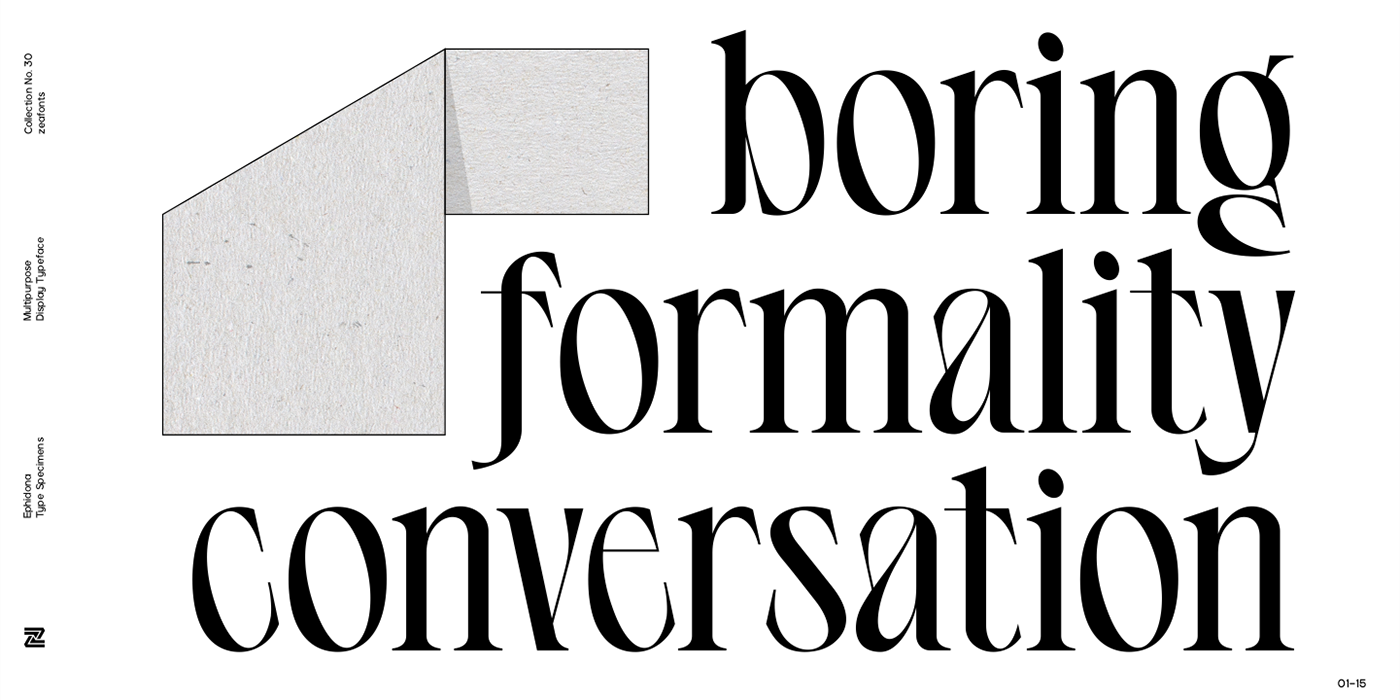 branding  font lettermark ligature Logotype serif type design Typeface typography   wordmark