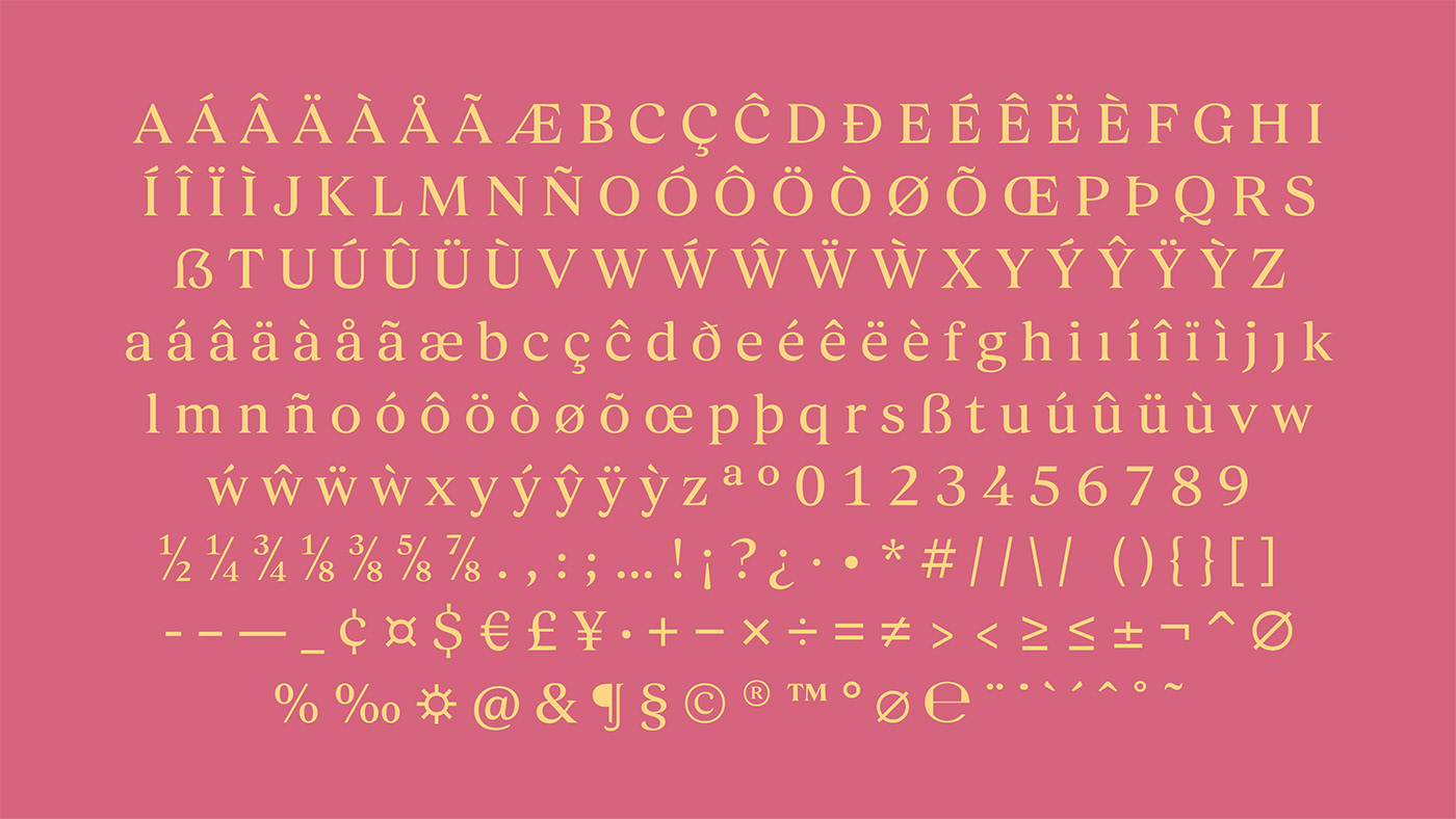 Fintech font Mono sans serif stone tech typography   brand identity Logo Design