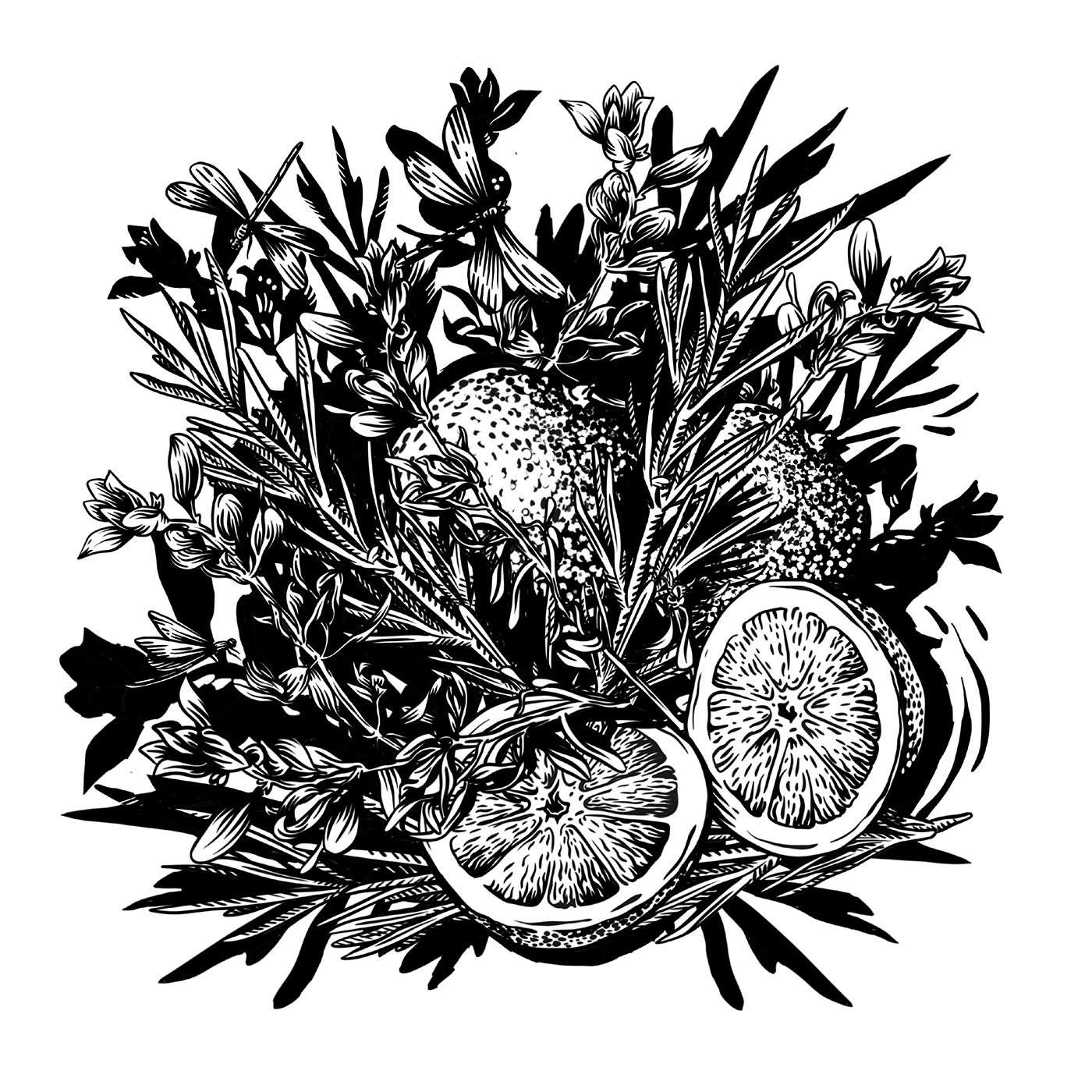 ILLUSTRATION  graphic design  Botanicals botanical illustration graphicdesign graphics botanical art