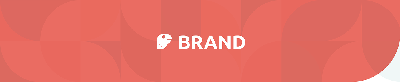 language school parot mascotte logo brand visual identity Website ui design kids