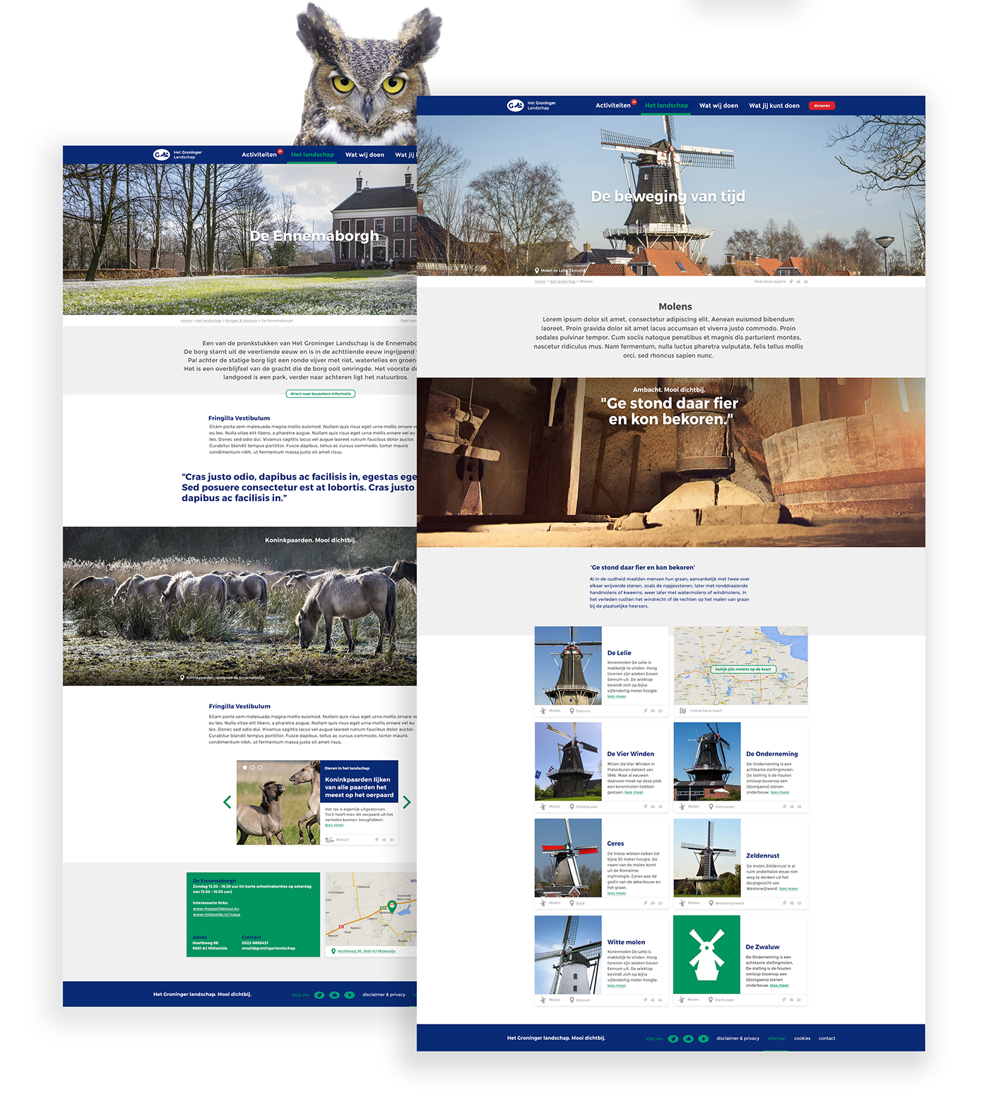 charity foundation Nature wildlife cultural heritage activities Webdesign Interaction design  user interface design groningen