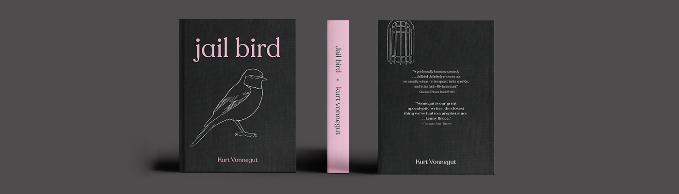 book book cover editorial design  graphic design 