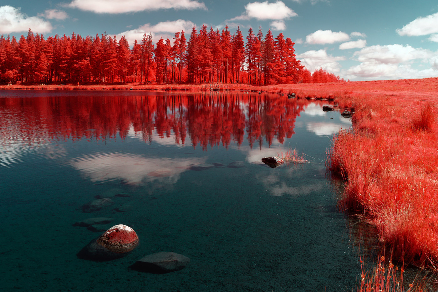 beach forest france infrared Landscape mountains Nature Paris Photography  Travel
