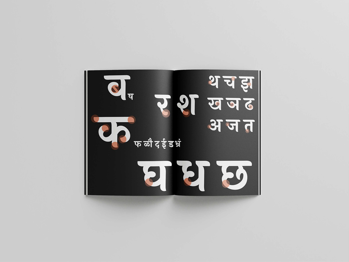 devanagari graphic design  hitesh Laila Malaviya print design  typography  