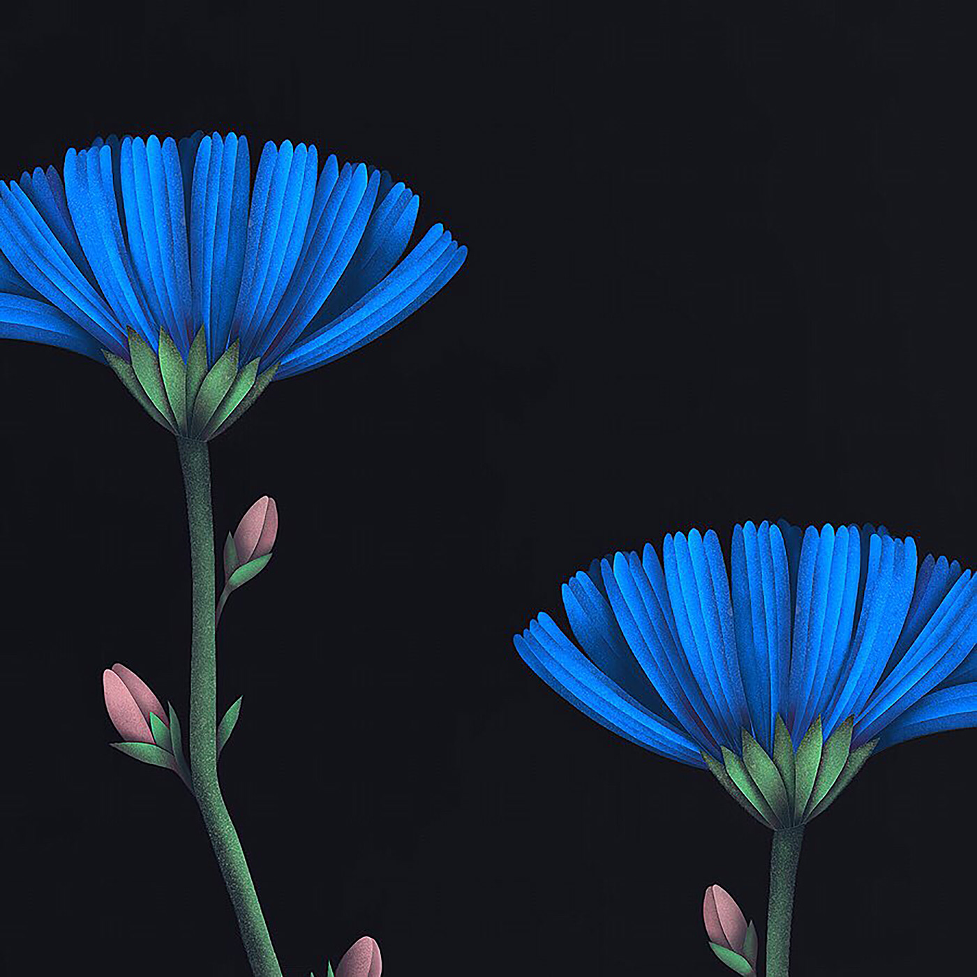 Digital Art  Procreate ILLUSTRATION  botanical art graphic design  Flowers digital illustration