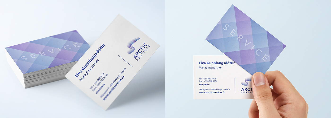 logo business card brochure Arctic Services