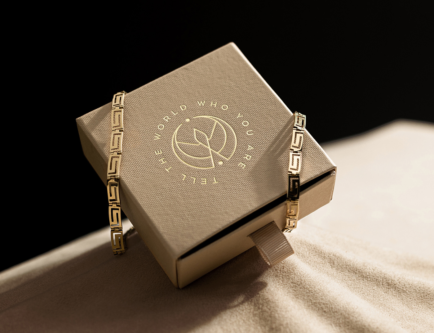 branding  identity Jewellery jewelry logo luxury Packaging brand identity Logo Design
