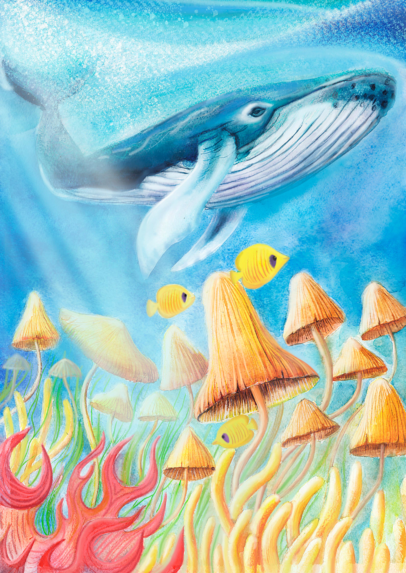 fish illustration Fish illustrations ILLUSTRATION  painting   sketch watercolor