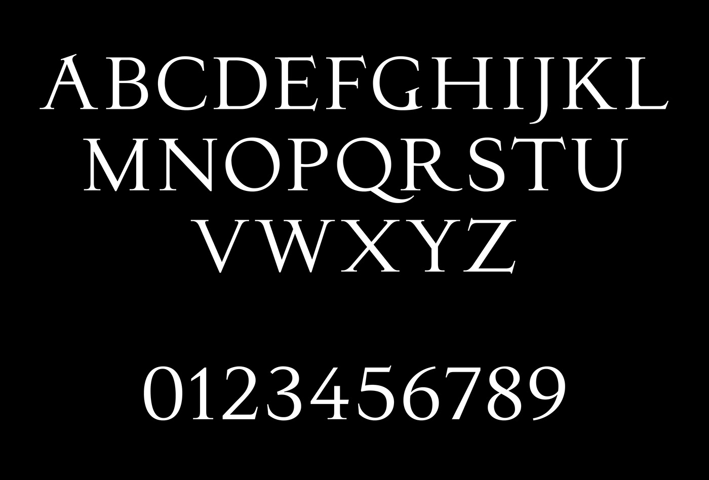 Typeface font lettering type design display font type design Serif Font font design