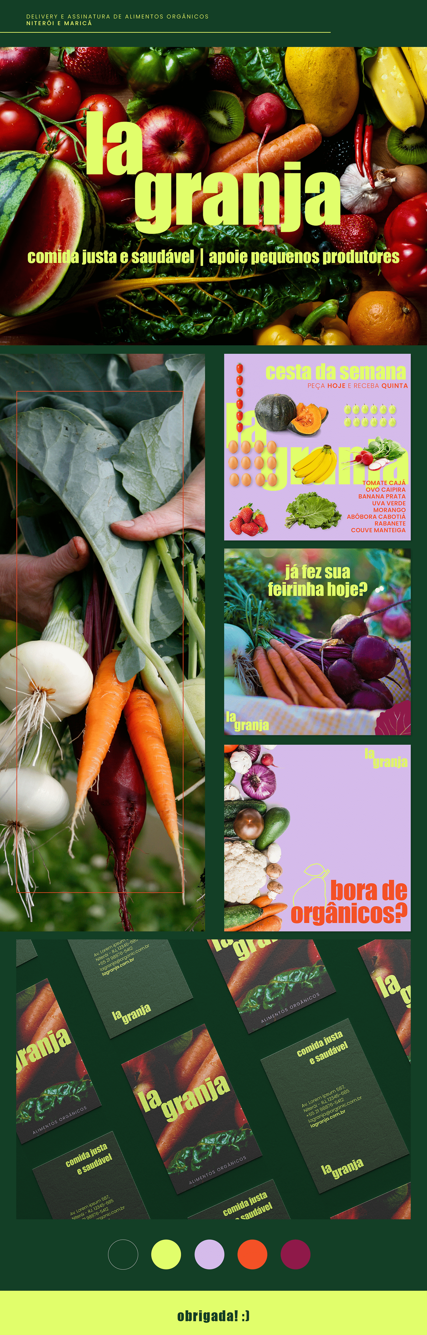 Alimentos Alimentos Orgânicos brand identity design gráfico feed instagram identidade visual organic organicos Social media post Socialmedia