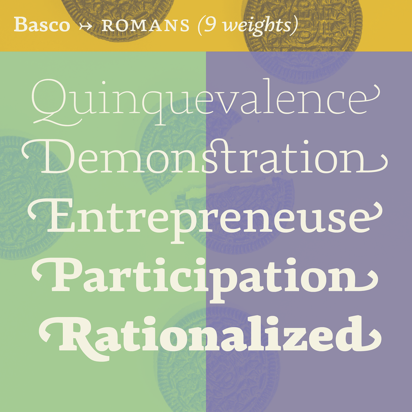 art direction  Brazil editorial fonts graphic design  legible Opentype Renaissance Swashes typography  