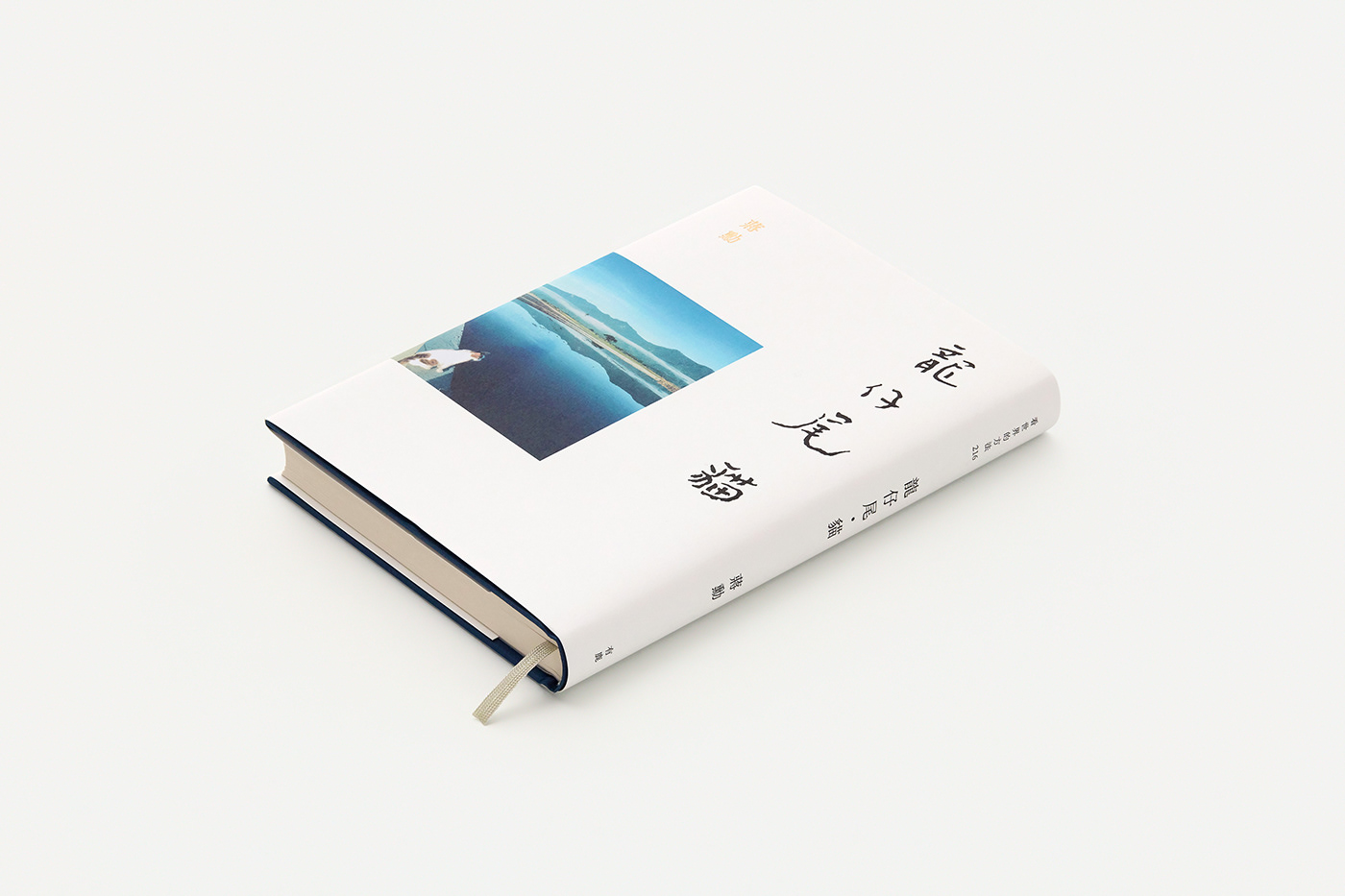 bookcover bookcoverdesign Bookdesign Layout