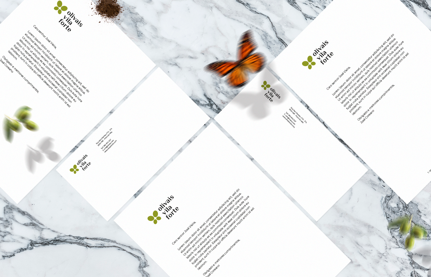 branding  brands logo Logotype design olives butterfly olive groves visual identity Brand System