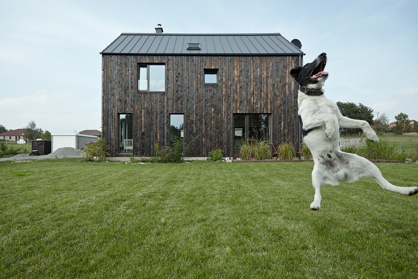 ddaann architecture house woodenhouse woodenfacade