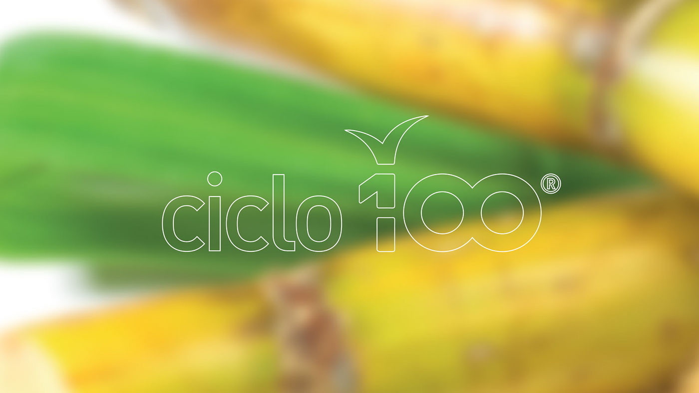 print brazi agrobusiness Sugarcane brand branding 