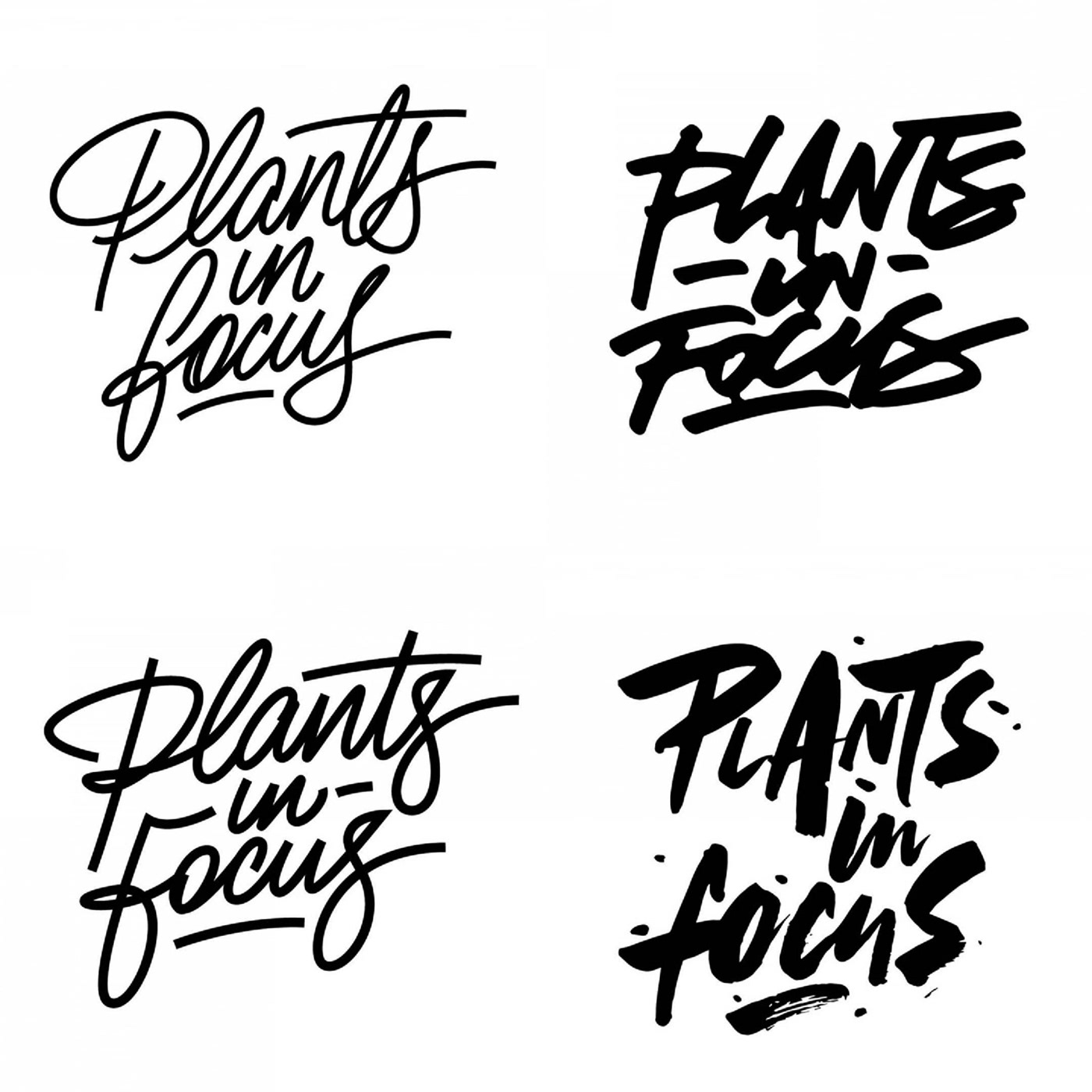 lettering logo letteringlogo designlogo Calligraphy   typelogo calligraphylogo Graffiti stylelogo design