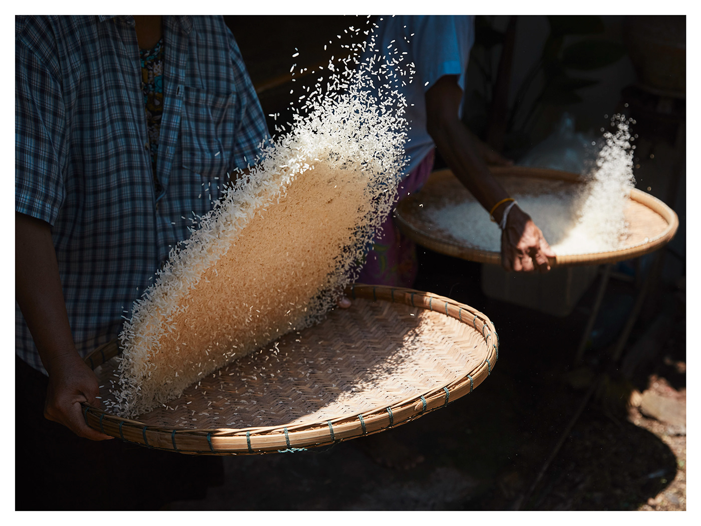 Rice portrait Documentary  natural Thailand organic farm harvest handwork manufactory