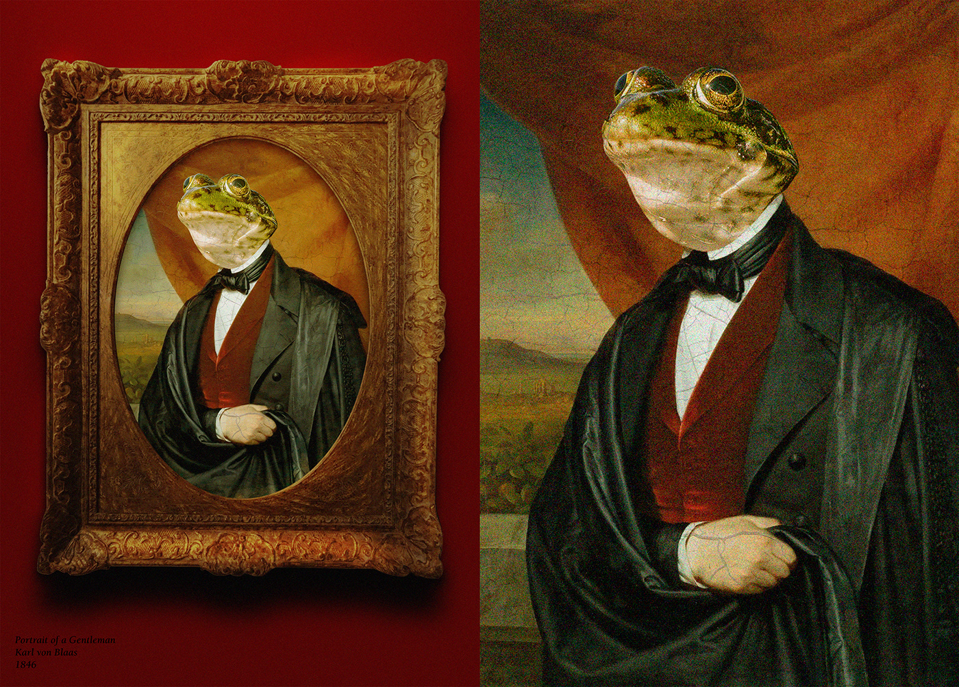animal art artist collage frogs painting   Photography  portrait