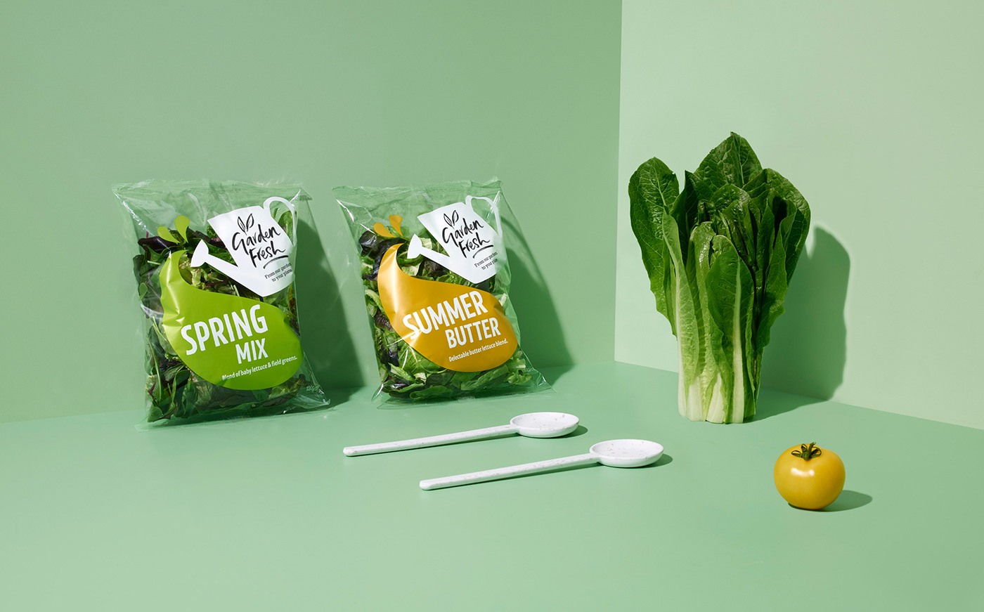 branding  design Food  Handlettering ILLUSTRATION  lettering Packaging Photography  typography   vegetables