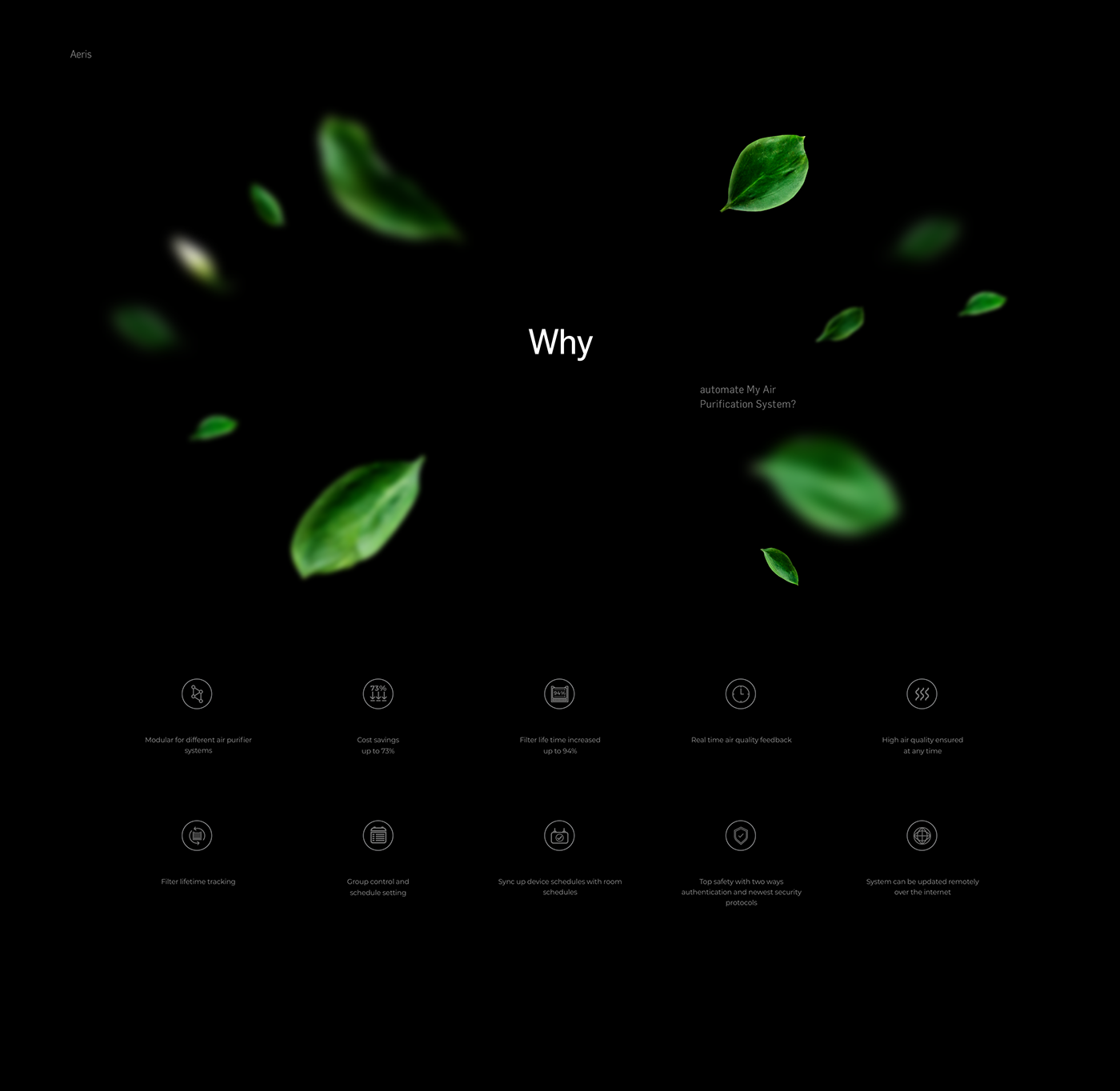 Web design promo UI ux branding  animation  White