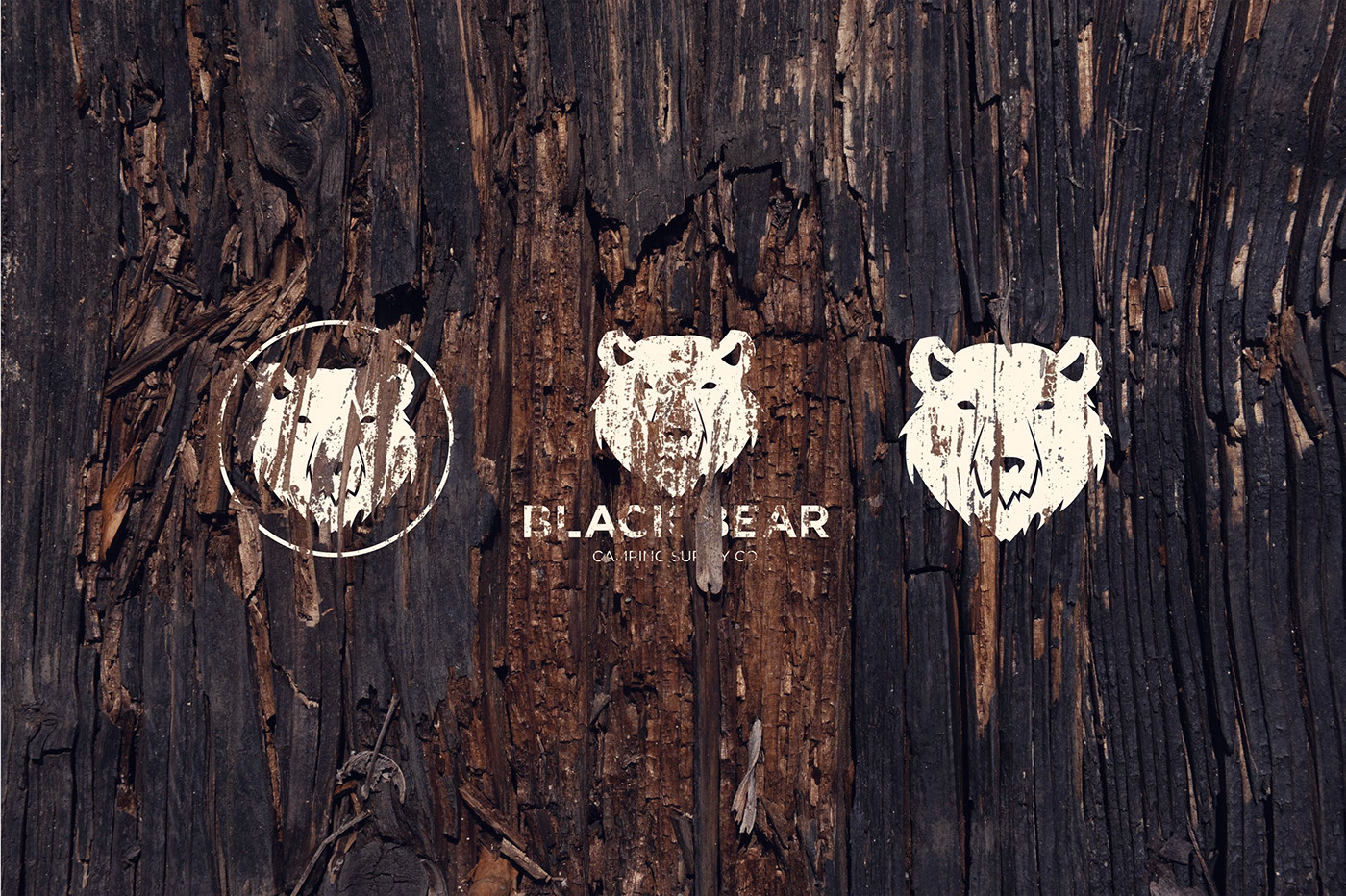 Black Bear camping supply identity Business Cards Responsive Design logo