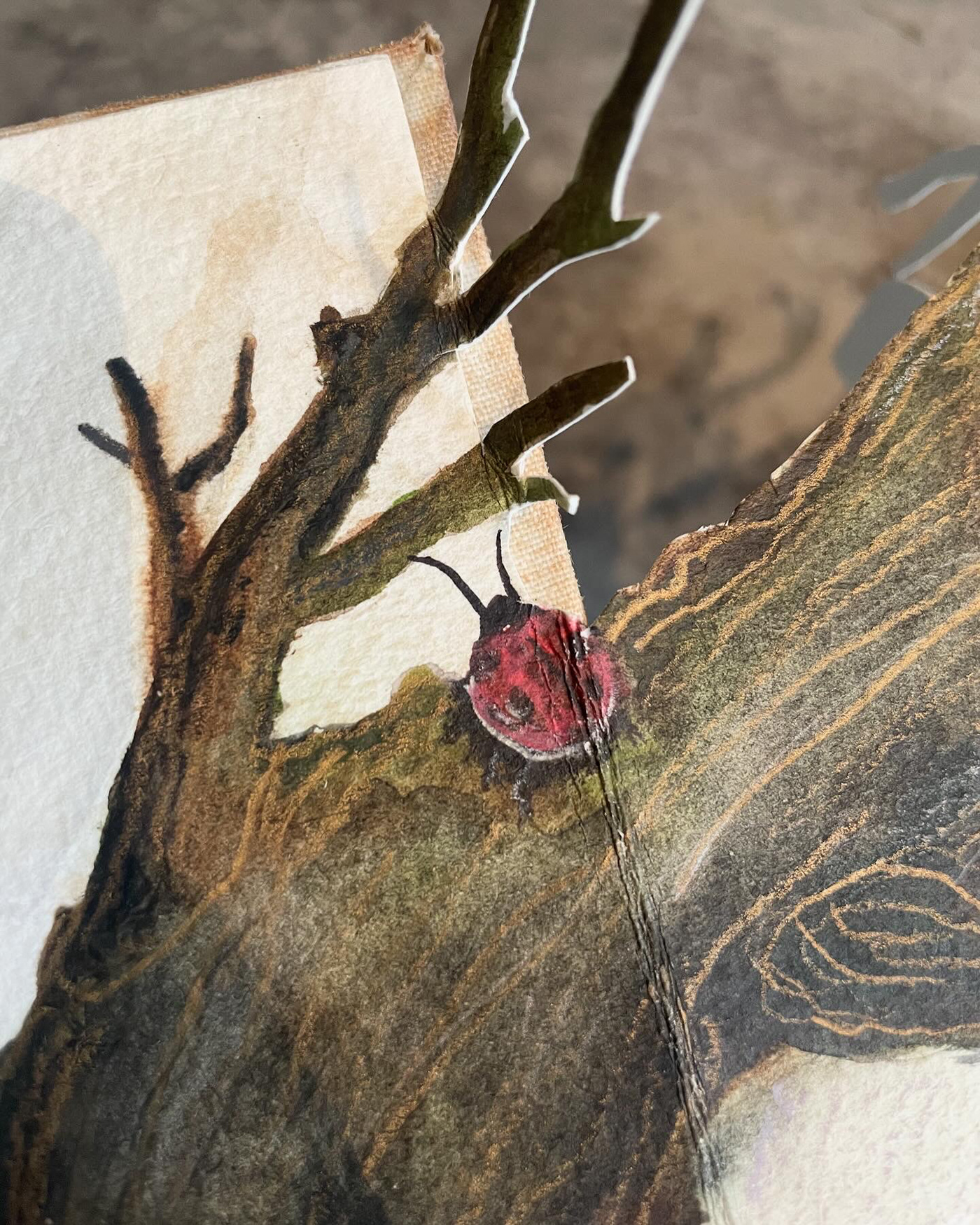 watercolor ladybird physical book tree branch