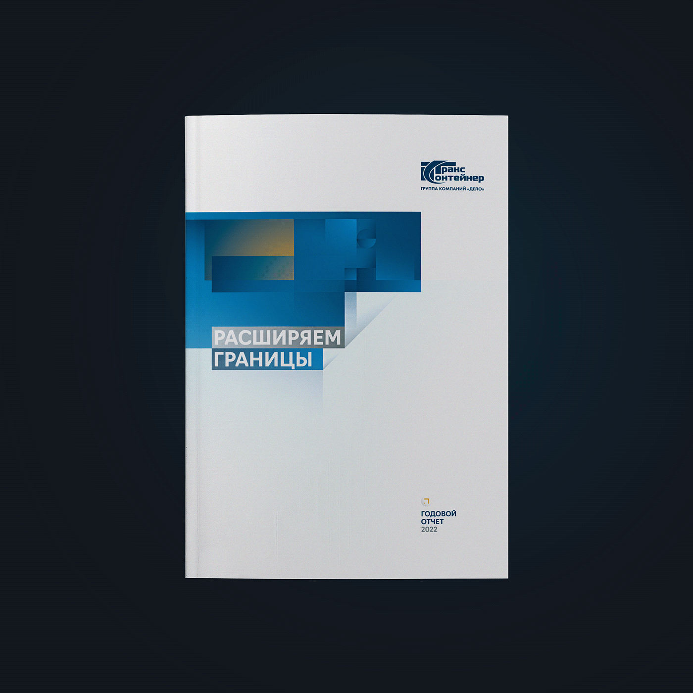 annual report book graphic design  трансконтейнер