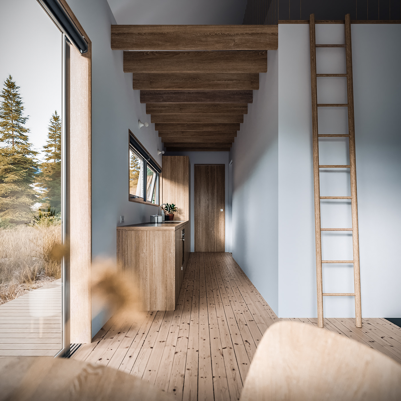 3D architecture archviz cabin CGI corona house Interior Render visualization
