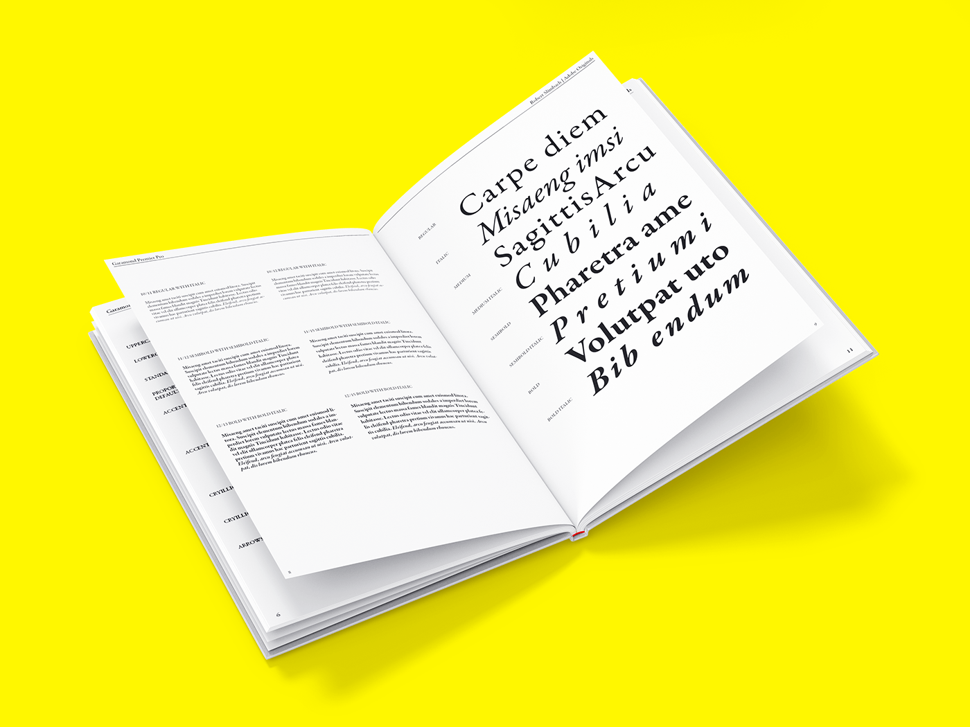 book design garamond premier pro Layout Design Type Specimen type specimen book Typeface