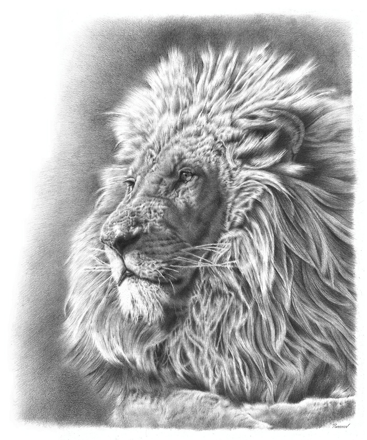 Cute Lion Sketch Drawing Images with simple drawing