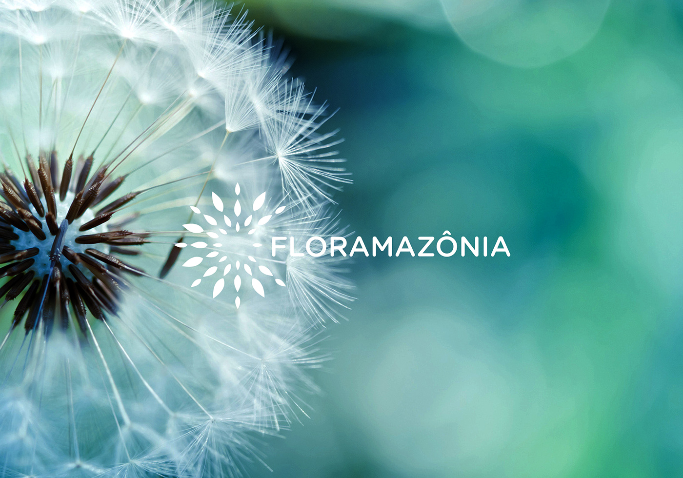 flor amazonia Flores marca Logotipo Cores identidade visual