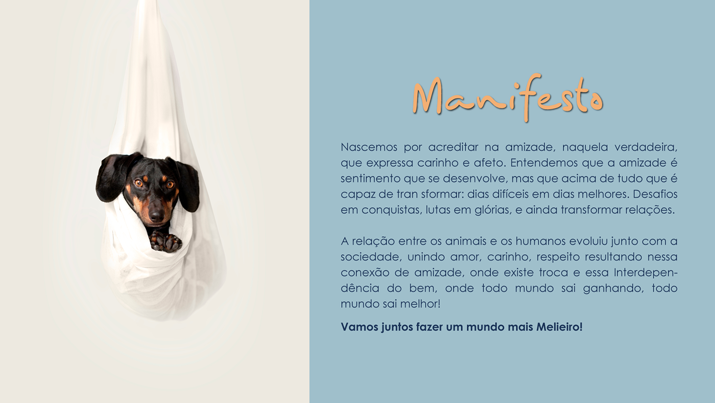 brand clinic identidade visual identity Logo Design marca naming Pet vet veterinary