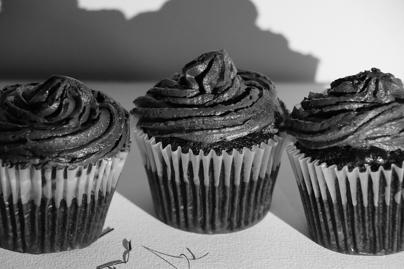 black and white cupcakes food photography Photography 