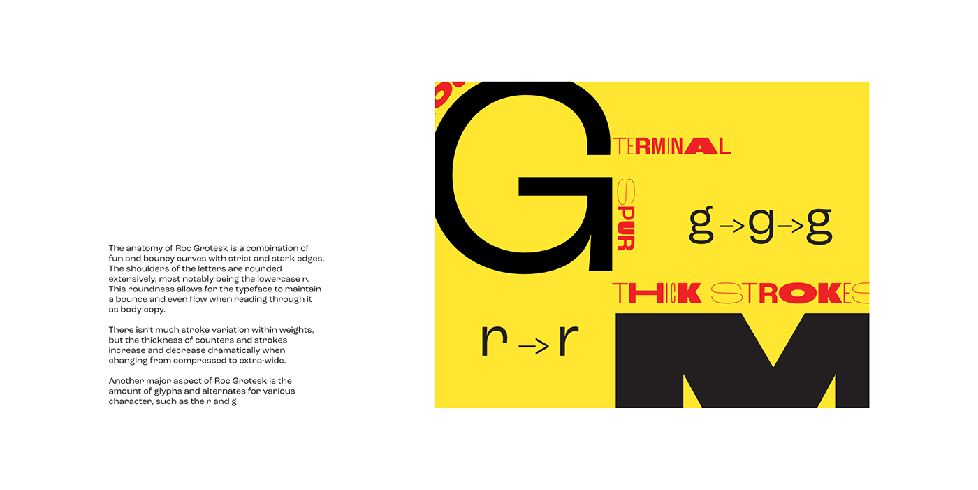 typography   type Zine  font font design university of kansas grotesque KU