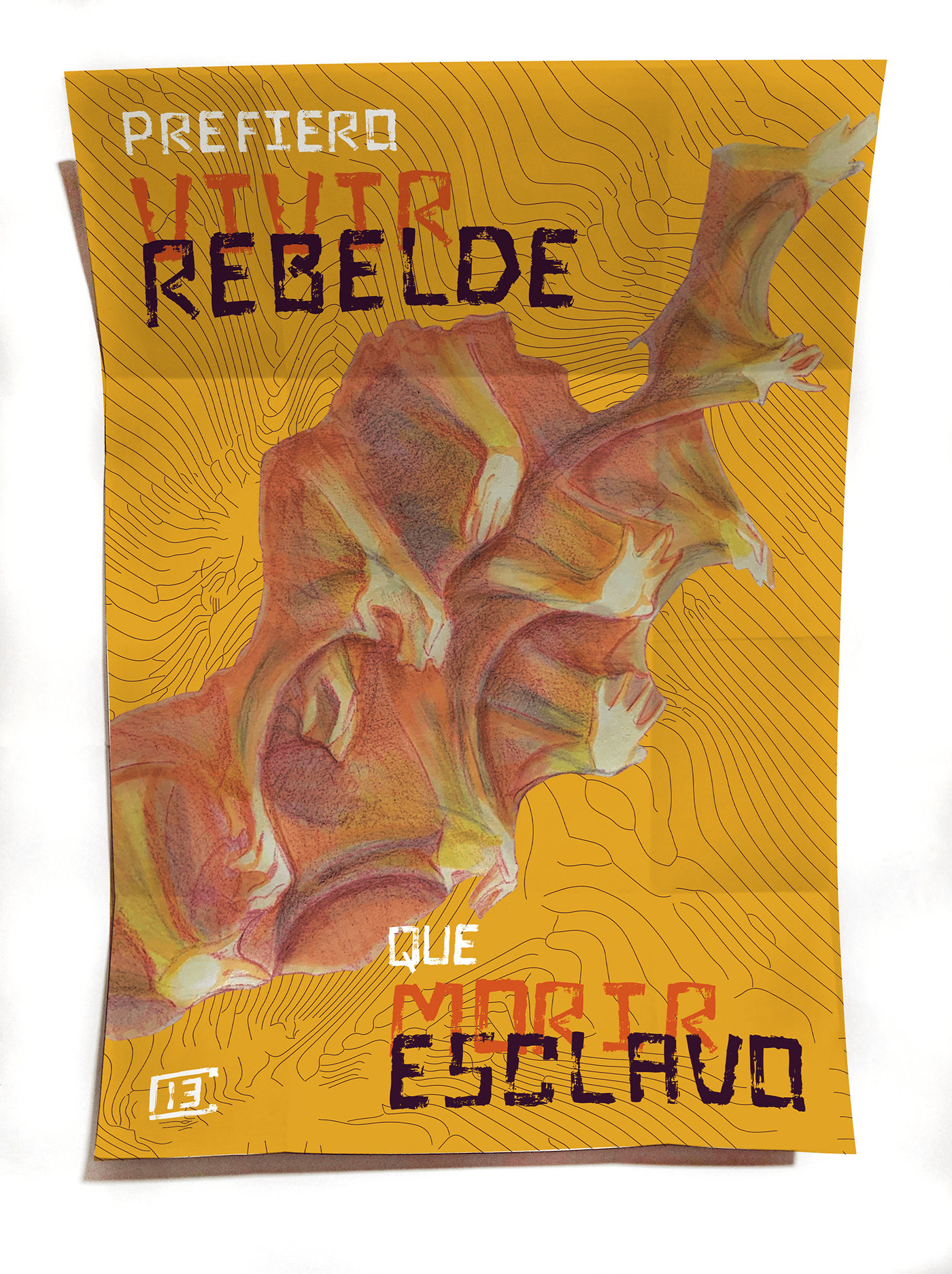 artist ilustracion diseño gráfico disco music artwork Calle13