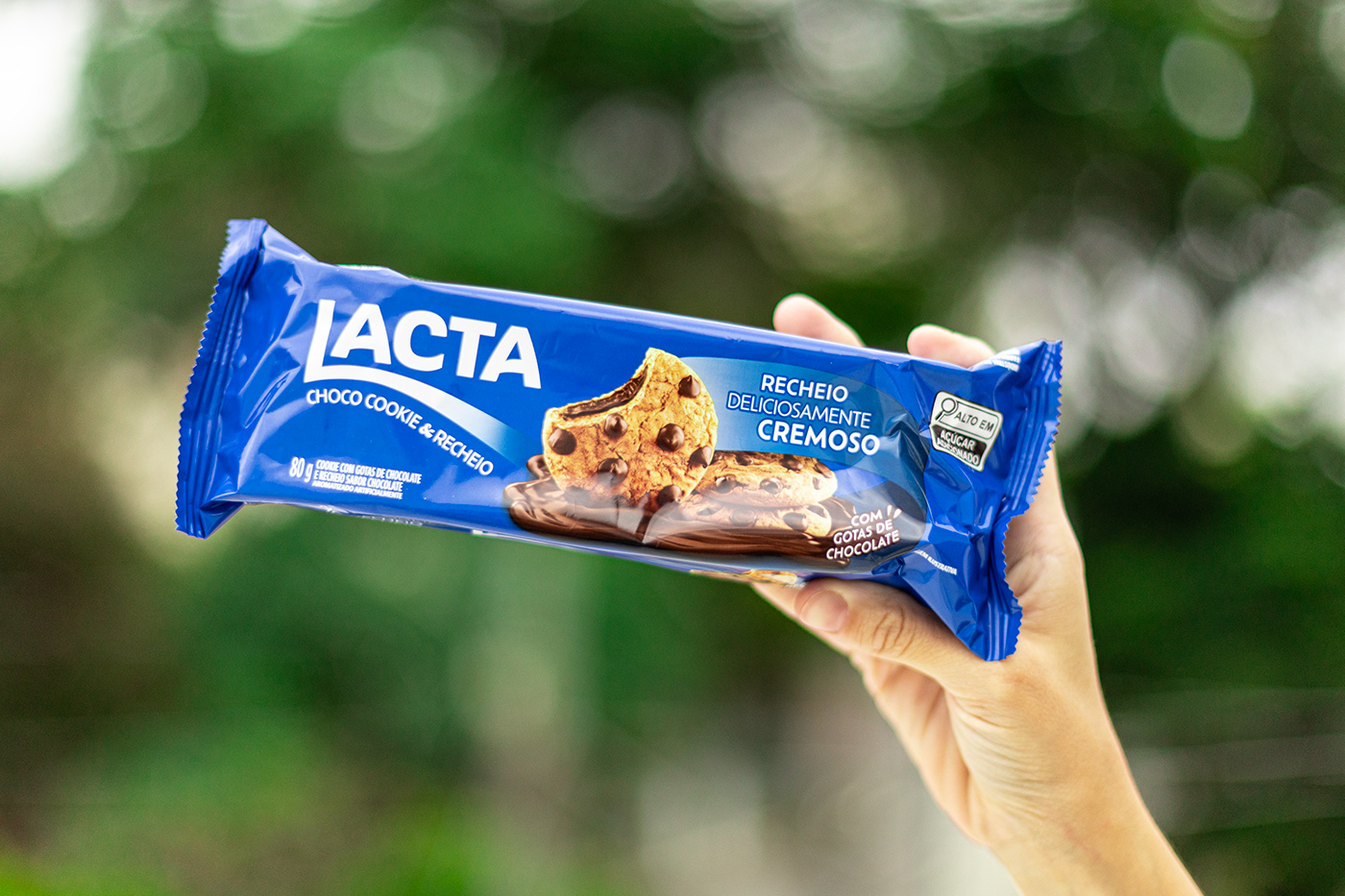 lacta chocolate choco cookie blender biscoito biscuit chip 3D Food 