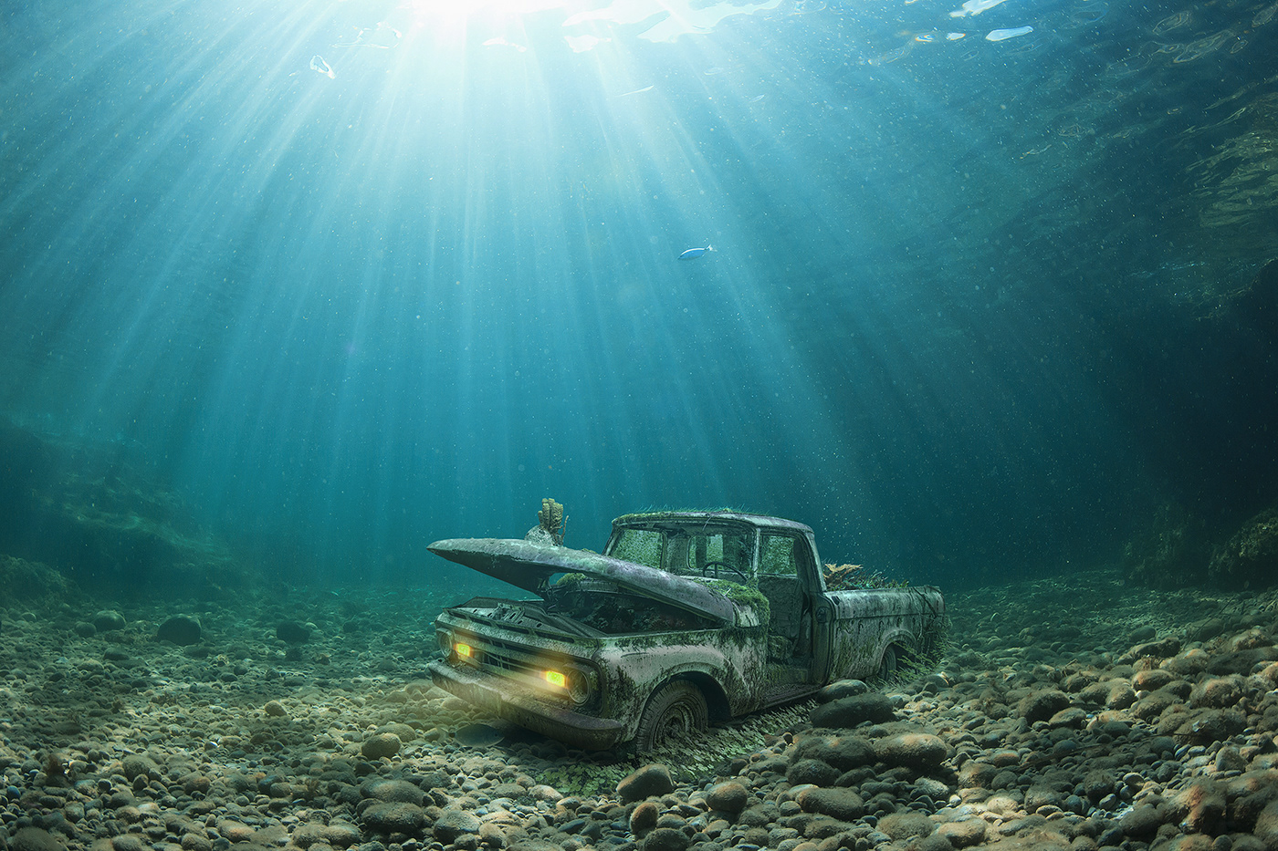 sea Cars underwater rust